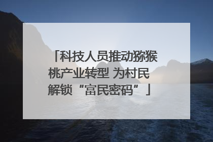 科技人员推动猕猴桃产业转型 为村民解锁“富民密码”