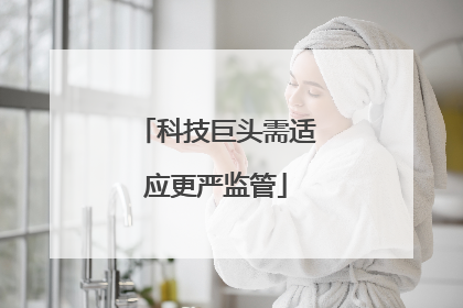 科技巨头需适应更严监管