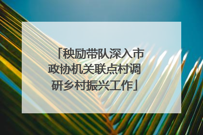 秧励带队深入市政协机关联点村调研乡村振兴工作