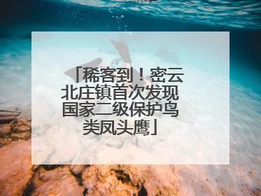 稀客到！密云北庄镇首次发现国家二级保护鸟类凤头鹰