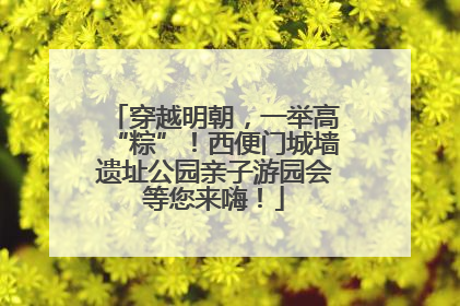 穿越明朝，一举高“粽”！西便门城墙遗址公园亲子游园会等您来嗨！