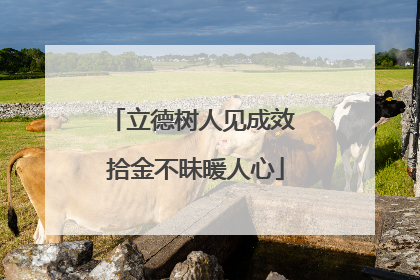 立德树人见成效 拾金不昧暖人心