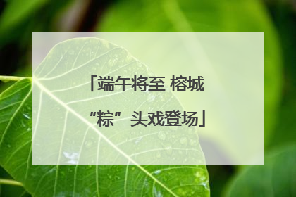 端午将至 榕城“粽”头戏登场