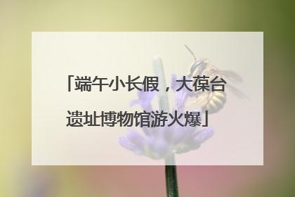 端午小长假，大葆台遗址博物馆游火爆