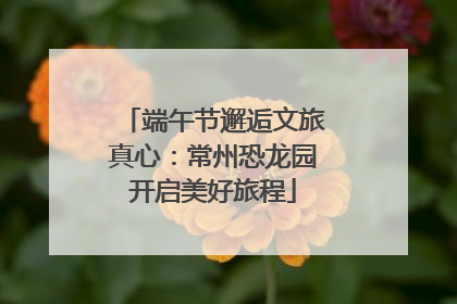 端午节邂逅文旅真心：常州恐龙园开启美好旅程