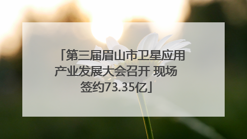 第三届眉山市卫星应用产业发展大会召开 现场签约73.35亿