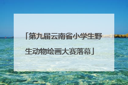 第九届云南省小学生野生动物绘画大赛落幕