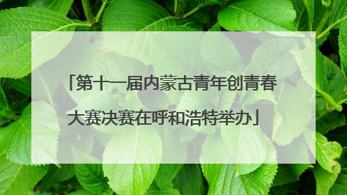 第十一届内蒙古青年创青春大赛决赛在呼和浩特举办