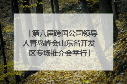 第六届跨国公司领导人青岛峰会山东省开发区专场推介会举行
