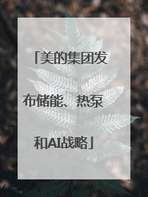 美的集团发布储能、热泵和AI战略