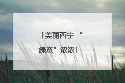 美丽西宁 “绿意”浓浓