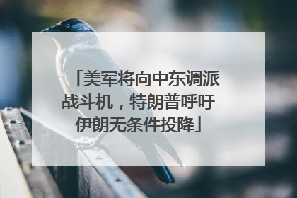 美军将向中东调派战斗机，特朗普呼吁伊朗无条件投降
