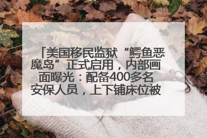 美国移民监狱“鳄鱼恶魔岛”正式启用，内部画面曝光：配备400多名安保人员，上下铺床位被罩在铁丝网里