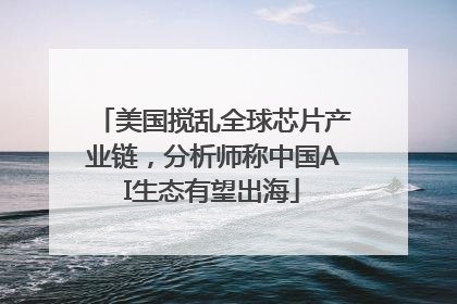 美国搅乱全球芯片产业链，分析师称中国AI生态有望出海