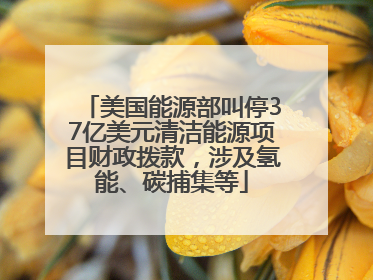 美国能源部叫停37亿美元清洁能源项目财政拨款，涉及氢能、碳捕集等