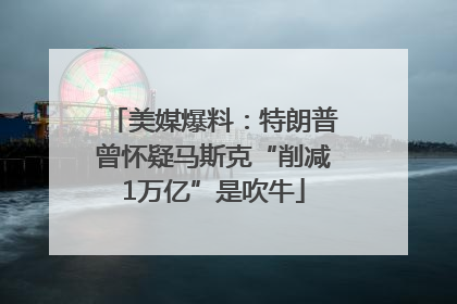 美媒爆料：特朗普曾怀疑马斯克“削减1万亿”是吹牛