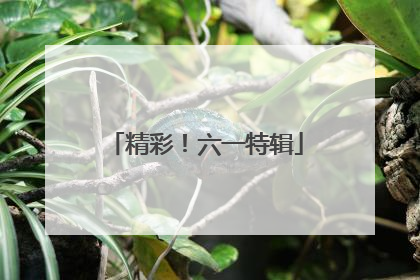 精彩！六一特辑