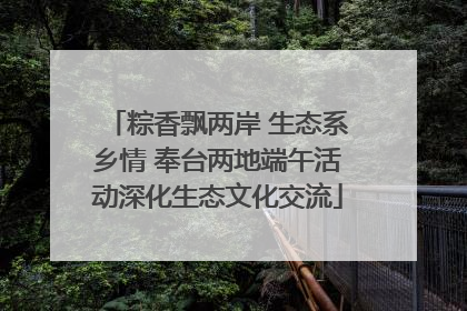 粽香飘两岸 生态系乡情 奉台两地端午活动深化生态文化交流