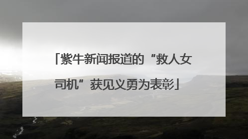 紫牛新闻报道的“救人女司机”获见义勇为表彰