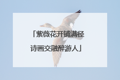 紫薇花开铺满径 诗画交融醉游人