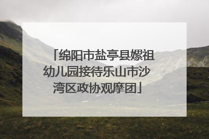 绵阳市盐亭县嫘祖幼儿园接待乐山市沙湾区政协观摩团