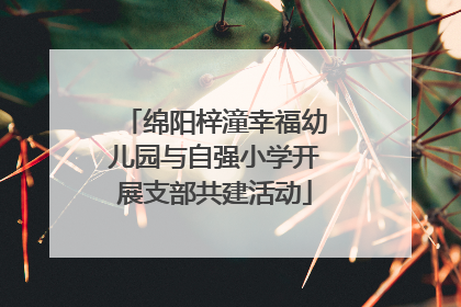 绵阳梓潼幸福幼儿园与自强小学开展支部共建活动