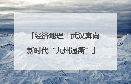 经济地理丨武汉奔向新时代“九州通衢”