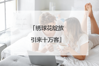绣球花绽放 引来十万客