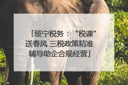 绥宁税务：“税课”送春风 三税政策精准辅导助企合规经营