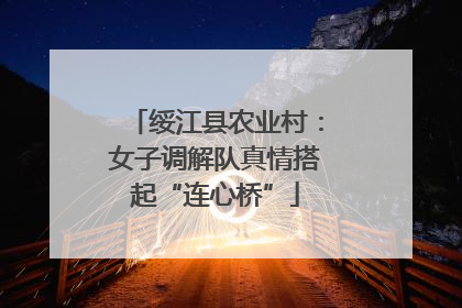 绥江县农业村：女子调解队真情搭起“连心桥”