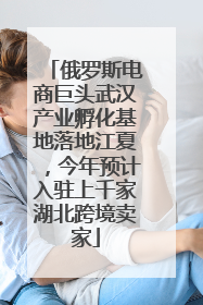 俄罗斯电商巨头武汉产业孵化基地落地江夏，今年预计入驻上千家湖北跨境卖家