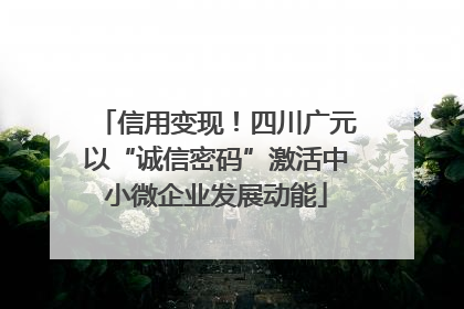 信用变现！四川广元以“诚信密码”激活中小微企业发展动能