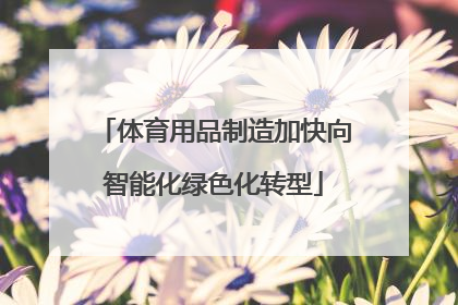 体育用品制造加快向智能化绿色化转型
