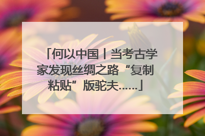 何以中国丨当考古学家发现丝绸之路“复制粘贴”版驼夫……