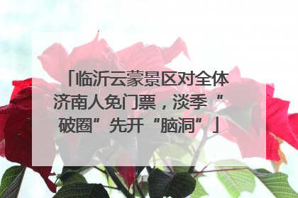 临沂云蒙景区对全体济南人免门票，淡季“破圈”先开“脑洞”