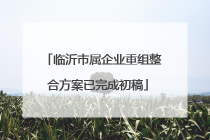 临沂市属企业重组整合方案已完成初稿