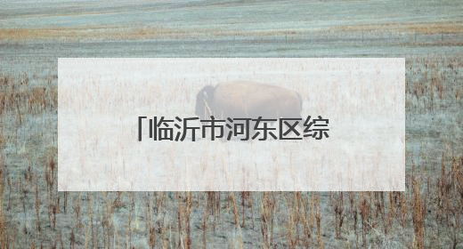 临沂市河东区综合行政执法局精修“民生路”，畅通“幸福线”
