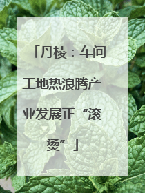 丹棱：车间工地热浪腾产业发展正“滚烫”