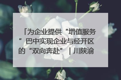 为企业提供“增值服务”巴中实现企业与经开区的“双向奔赴”｜川陕渝网络名人巴中行