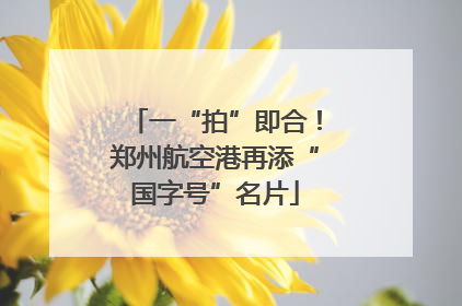 一“拍”即合！郑州航空港再添“国字号”名片