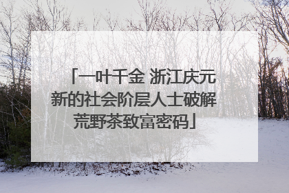 一叶千金 浙江庆元新的社会阶层人士破解荒野茶致富密码