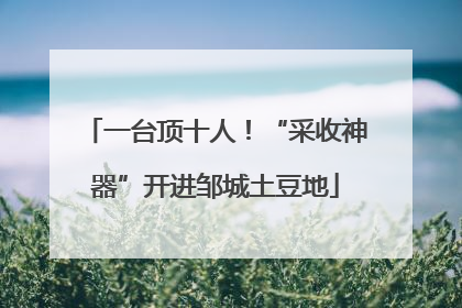 一台顶十人！“采收神器”开进邹城土豆地