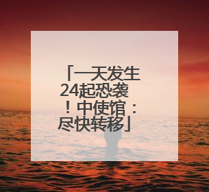 一天发生24起恐袭！中使馆：尽快转移