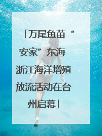 万尾鱼苗“安家”东海 浙江海洋增殖放流活动在台州启幕