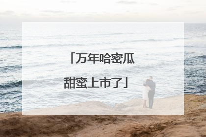 万年哈密瓜甜蜜上市了