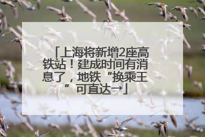 上海将新增2座高铁站！建成时间有消息了，地铁“换乘王”可直达→