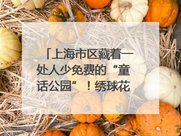 上海市区藏着一处人少免费的“童话公园”！绣球花海、金色秘境……地铁直达→