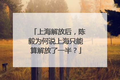 上海解放后，陈毅为何说上海只能算解放了一半？