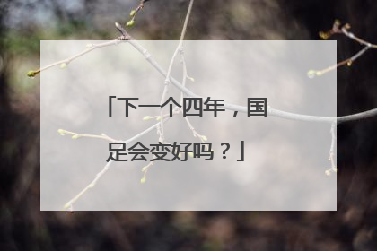下一个四年，国足会变好吗？