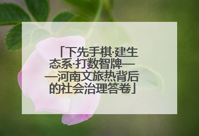 下先手棋·建生态系·打数智牌——河南文旅热背后的社会治理答卷